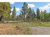 139 Bluestem Ct - Photo 42