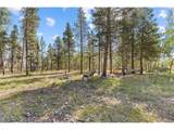 139 Bluestem Ct - Photo 43