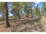 139 Bluestem Ct - Photo 45