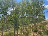 795 Russell Gulch Rd - Photo 3