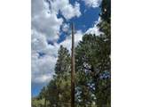795 Russell Gulch Rd - Photo 4