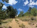 795 Russell Gulch Rd - Photo 5