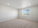 1637 Yampa River Dr - Photo 26
