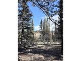 50 Rawhide Way - Photo 5