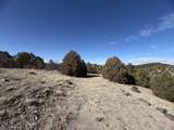 3412 Indian Wells Rd - Photo 4