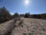 3412 Indian Wells Rd - Photo 6