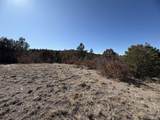 3412 Indian Wells Rd - Photo 7