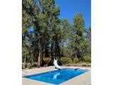 8094 State Highway 86 - Photo 11