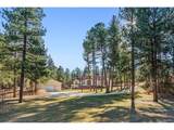 8094 State Highway 86 - Photo 45