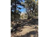 3899 Rarity Way - Photo 1
