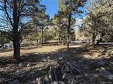 3899 Rarity Way - Photo 7