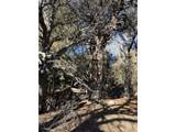 3899 Rarity Way - Photo 8