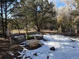 3899 Rarity Way - Photo 9