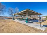 2241 Coronado Pkwy - Photo 24