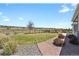 6524 Courtland Pl - Photo 40