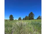 10290 Democrat Rd - Photo 10
