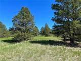 10290 Democrat Rd - Photo 13