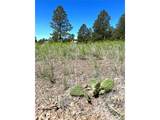 10290 Democrat Rd - Photo 15