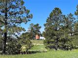 10290 Democrat Rd - Photo 18