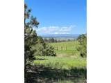 10290 Democrat Rd - Photo 19