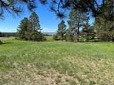 10290 Democrat Rd - Photo 2
