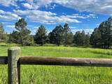10290 Democrat Rd - Photo 23