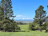 10290 Democrat Rd - Photo 3