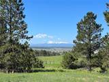 10290 Democrat Rd - Photo 4