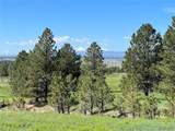 10290 Democrat Rd - Photo 5