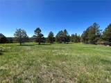 10290 Democrat Rd - Photo 8