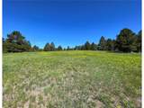 10290 Democrat Rd - Photo 9
