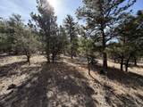 262 Harmon Dr - Photo 10