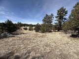 262 Harmon Dr - Photo 13