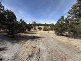262 Harmon Dr - Photo 14