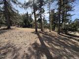 262 Harmon Dr - Photo 16