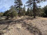 262 Harmon Dr - Photo 17