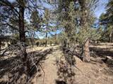 262 Harmon Dr - Photo 21