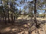262 Harmon Dr - Photo 22