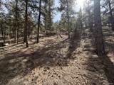 262 Harmon Dr - Photo 25