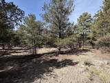 262 Harmon Dr - Photo 3