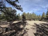 262 Harmon Dr - Photo 8