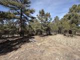 262 Harmon Dr - Photo 9