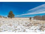 1327 Sheep Ridge Rd - Photo 11