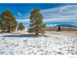 1327 Sheep Ridge Rd - Photo 16