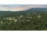 33077 Alta Vista Dr - Photo 49