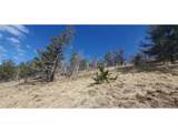 2740 Newman Pl - Photo 13