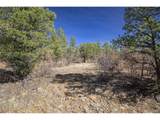  Rancho La Garita Lot 1129 - Photo 14