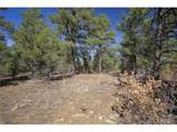  Rancho La Garita Lot 1129 - Photo 17