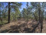  Rancho La Garita Lot 1129 - Photo 19