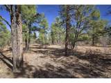  Rancho La Garita Lot 1129 - Photo 22